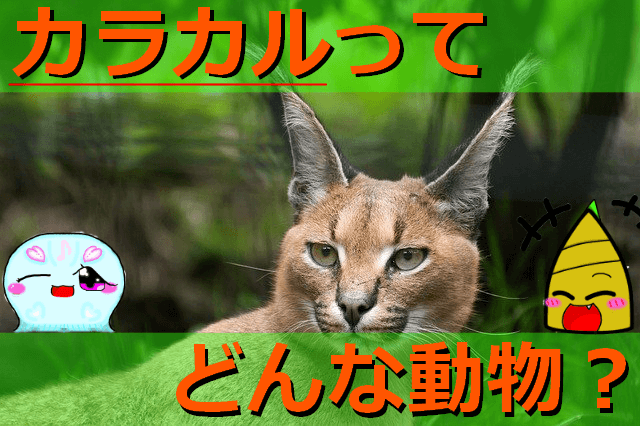 Thumbnail of post image 020